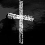 𝐓𝐇𝐄 𝐃𝐀𝐌𝐁