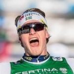 Шведское полено