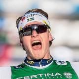 Шведское полено