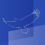 Центр лидерства СКОЛКОВО