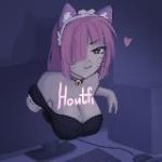 адская дрочильня Houtfi