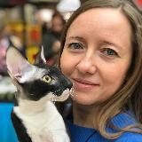 Девон-рексы питомник