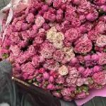 𝒯𝒽𝑒𝓁𝒾𝓂𝓈𝓈