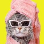 Страдающее сырьевиковье