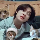 кто такая фиджи?