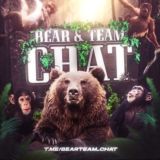 Bear Team Chat
