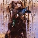 Мужской Отдых * Охота * Рыбалка