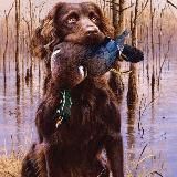 Мужской Отдых * Охота * Рыбалка