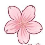 日本AV女优视频无码有码