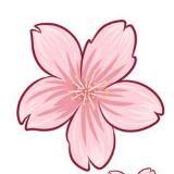 日本AV女优视频无码有码