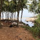 GOA | Гоанские группы