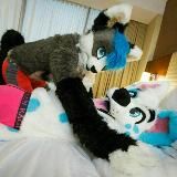 Tate’s Murrsuit Madness