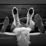 Бла бла бландинка