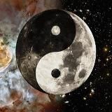 Bushwacker – Неофициальный канал