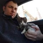 ЖИЗНЬ КОТА БЕЗ ЛАП