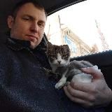 ЖИЗНЬ КОТА БЕЗ ЛАП