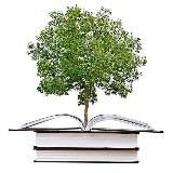 Исламские финансы +