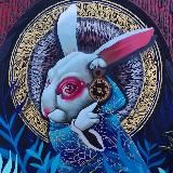 Sigue Al Conejo Blanco