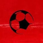 АРЕНА @ незыгарь