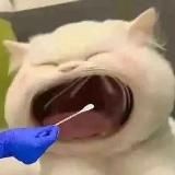 吃瓜头条《新闻|搞笑|爆料》