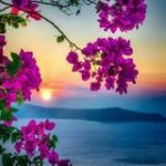 МАГИЯ Жизни