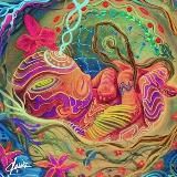 Bewusstwerdung – Wahrheitsfindung