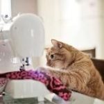 Бесплатные выкройки