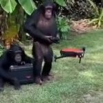 Дроны: агрегатор