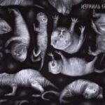 Голый землекоп Chat