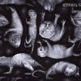 Голый землекоп Chat