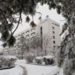 Хабаровский филиал МНТК «Микрохирургия глаза»