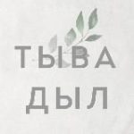 Шокар аптара