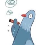 Соня Коробкова