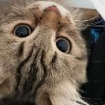 Мой мир – мой Рай