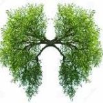 Легче легкого