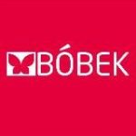 BOBEK_SCIENCE