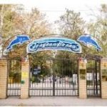 ГОЛУБАЯ ВОЛНА АНАПА