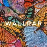 Обои | ᴡᴀʟʟᴘᴀʀ