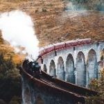 Амортенция головного мозга