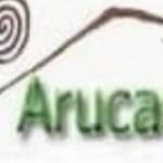 Jorge Guerra – Canal Actualidad y Opiniones