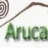 Jorge Guerra – Canal Actualidad y Opiniones