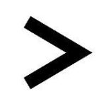 Пицца Синица