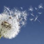 Anne Givaudan et son équipe !