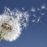 Anne Givaudan et son équipe !