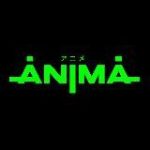 Ночной клуб ANIMA