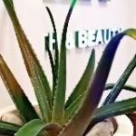 ПРОДУКЦИЯ LR!