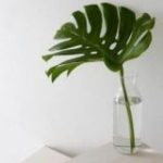 Чат “выкройки пдф”