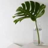 Чат “выкройки пдф”