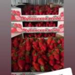 КФХ Кучма Иван канал