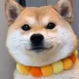 成人有声小说精选